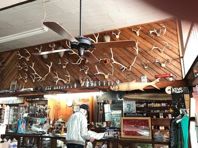 31069155_231787417373302_6250609499510407168_n